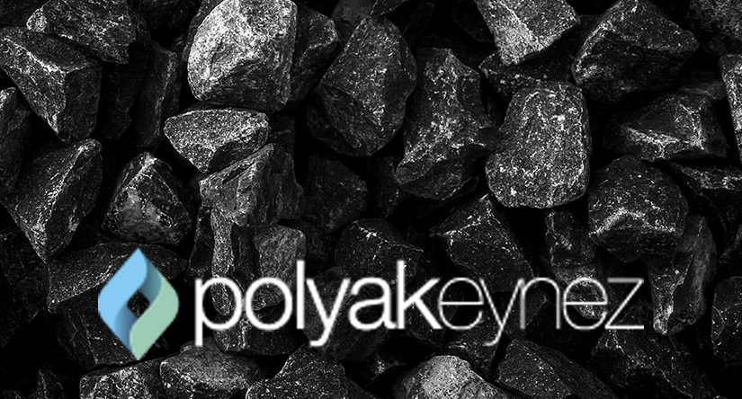 POLYAK PROJECT - Polyak Eynez - LA STEPHANOISE